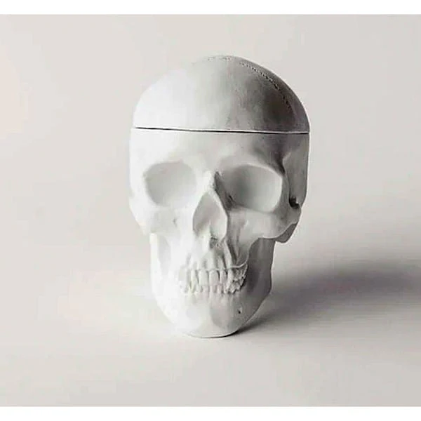 Human Skull Replica Sculptural Box Statue
