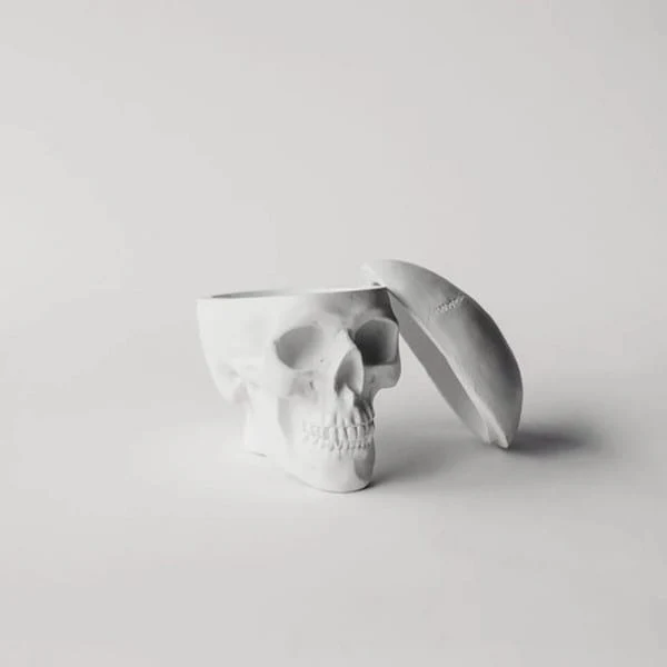 Human Skull Replica Sculptural Box Statue - Image 3