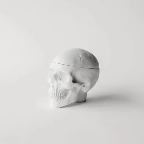 Human Skull Replica Sculptural Box Statue - Image 4
