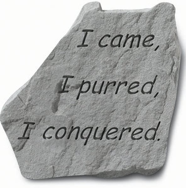 I Came, I Purred, I Conquered