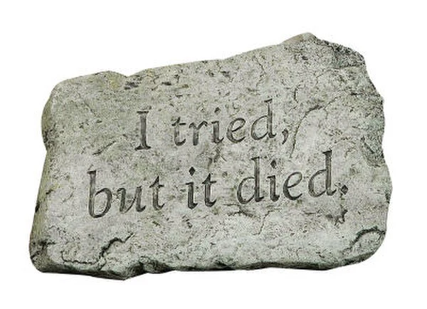 I Tried But It Died Stepping Stone