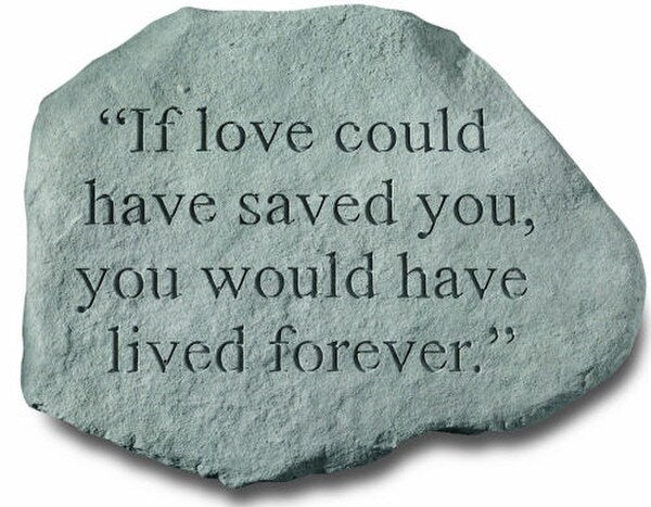 If Love Could Have Saved You, You Would