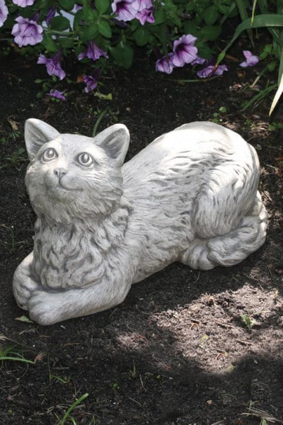 Laying Down Cat