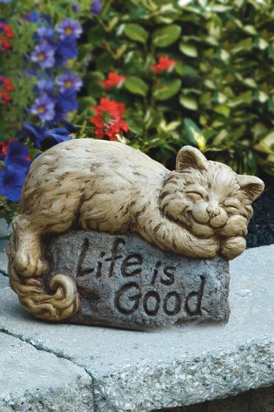 Life Is Good Louie Cat