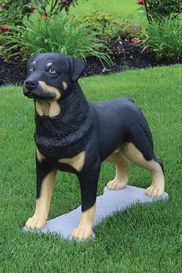 Life Size Rottweiler Dog Cement Statue 30.5" – Made in USA