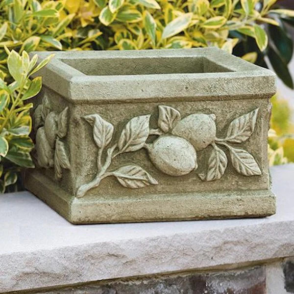 Limone Square Cement Planter 8" High - Image 2