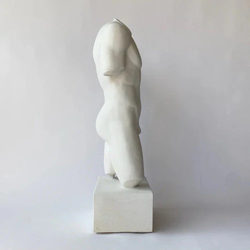 Male Torso Greek and Roman Sculpture - Image 4