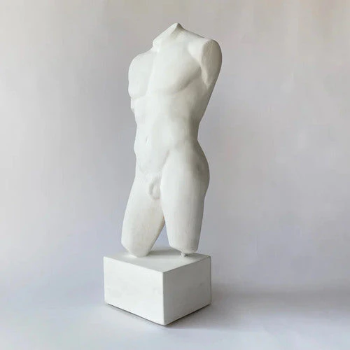 Male Torso Greek and Roman Sculpture - Image 7