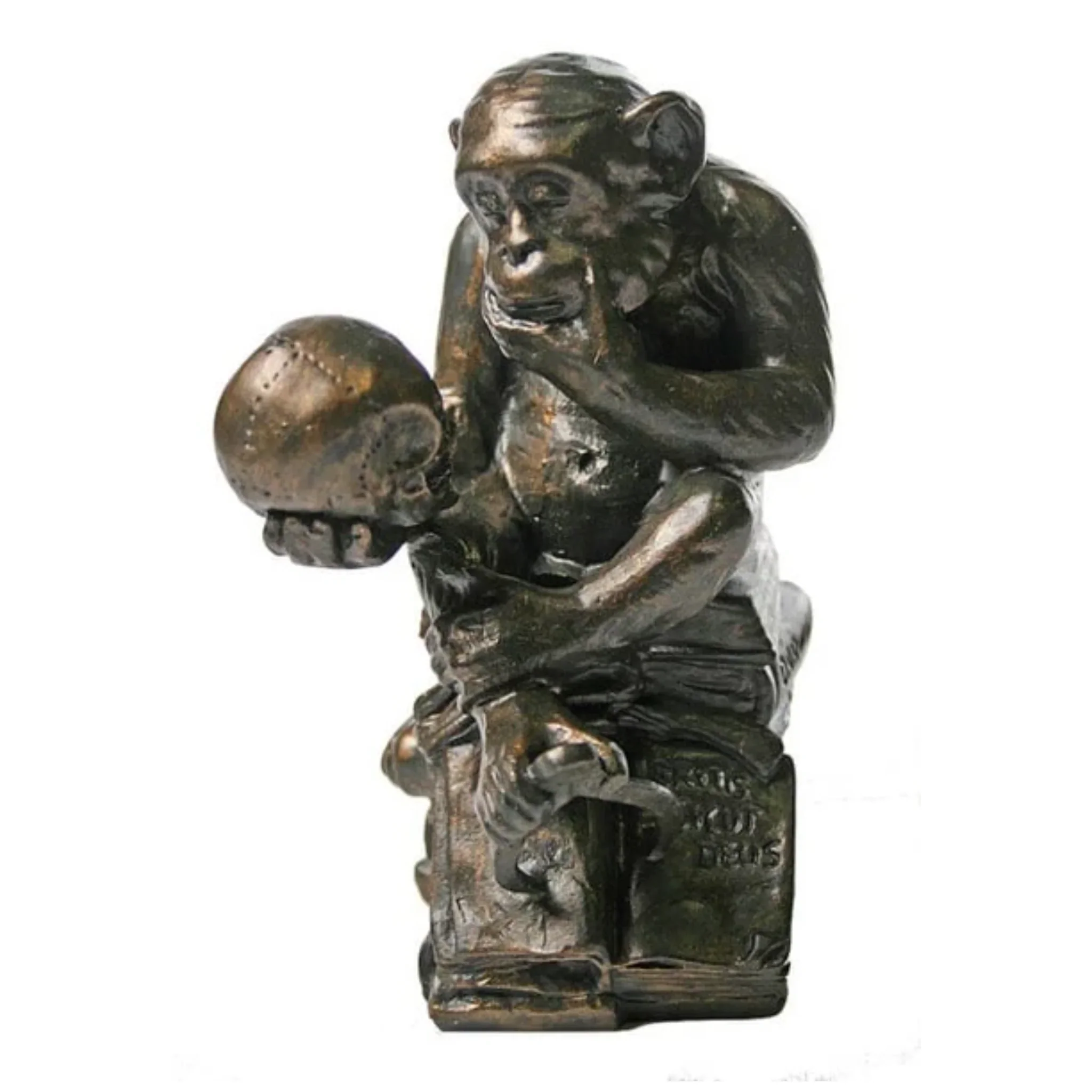 Monkey W. Skull Darwin Ape By Rheinhold