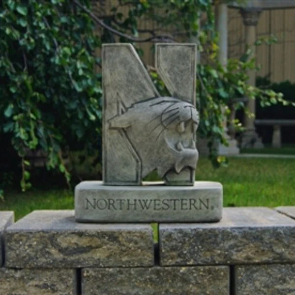 Northwestern "N Cat" College Mascot | Choose a Color - Image 2