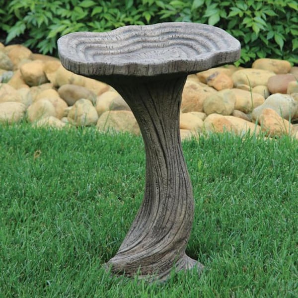 One Piece Driftwood Birdbath 22" Tsll
