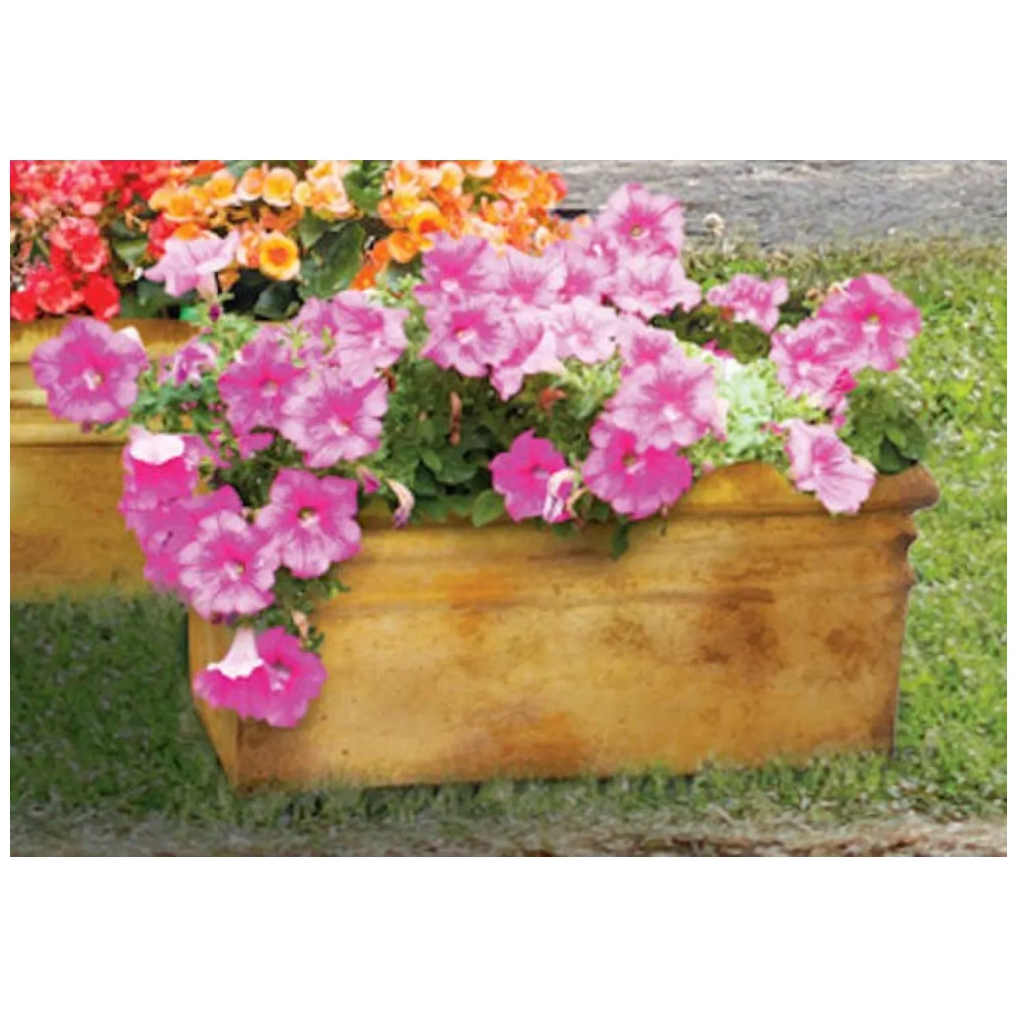 Rectangle Rimmed Cement Planter Medium