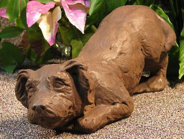 Pouncing Puppy