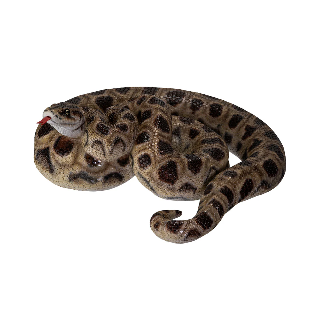 Realistic Boa Constrictor Snake Statue