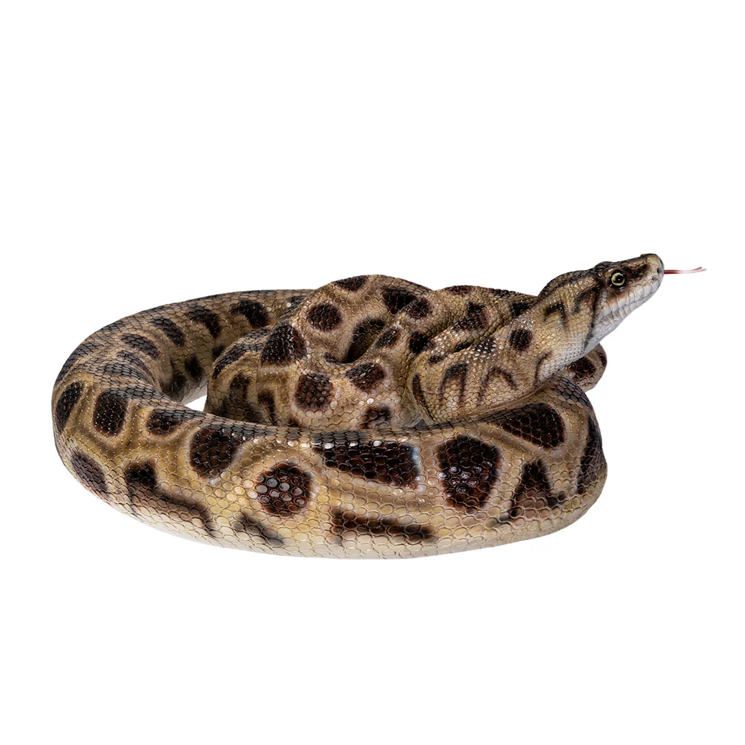 Realistic Boa Constrictor Snake Statue - Image 4