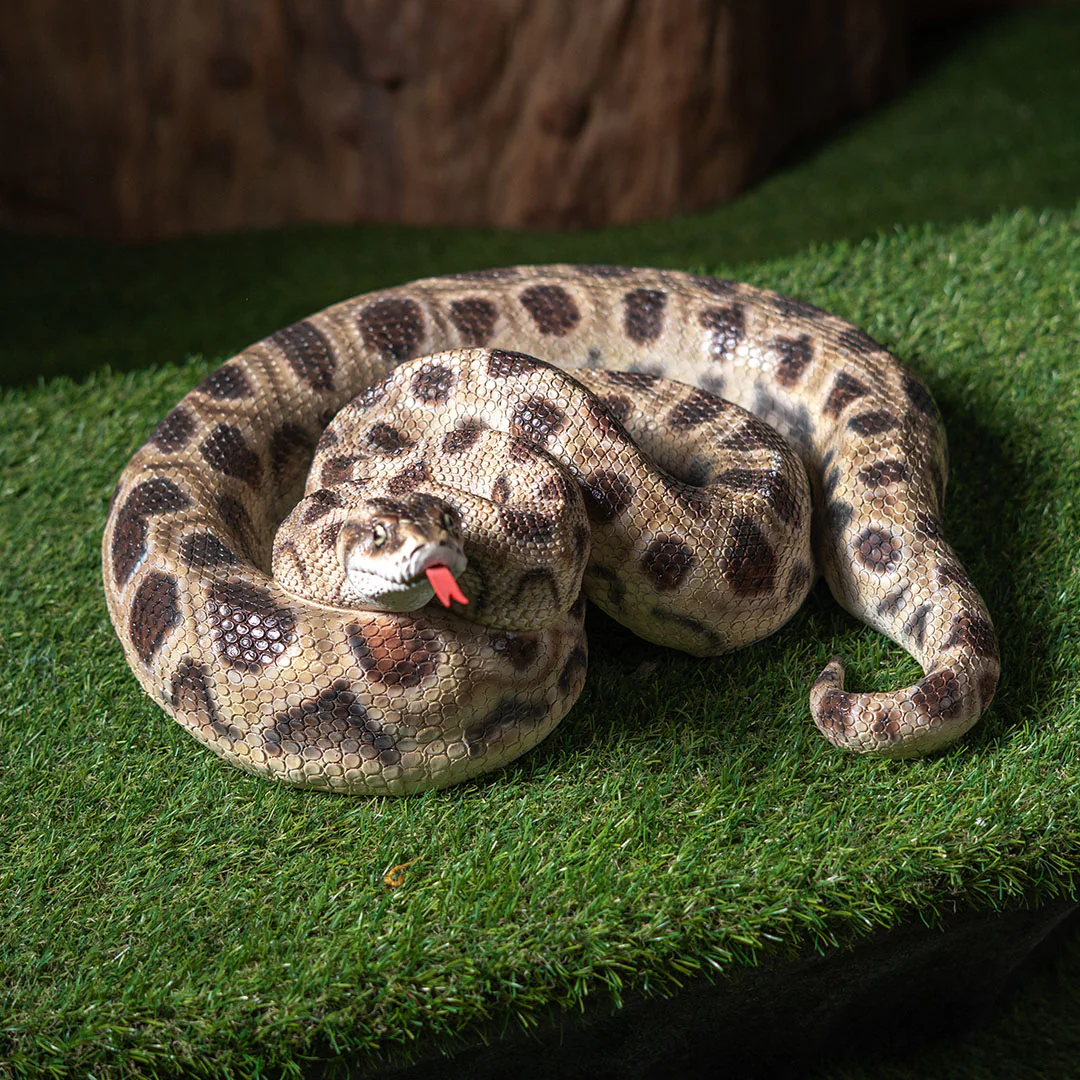 Realistic Boa Constrictor Snake Statue - Image 6