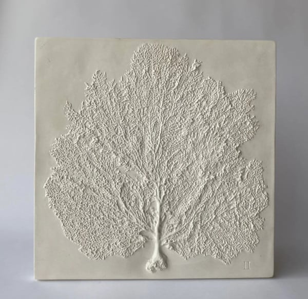 Sea Fan II Wall Plaque Sculpture - Image 2