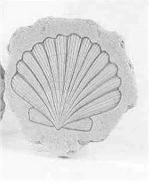 Shell Stepstone - Image 2