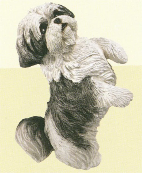 Shih Tzu Silver/white Standing Dog