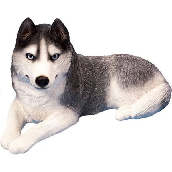 Siberian Husky Black (blue Eyes)
