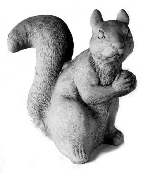 Sitting Squirrel