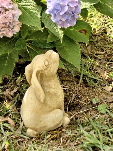 Small Sitting Bunny