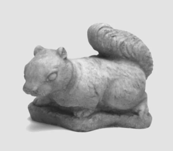 Small Squirrel