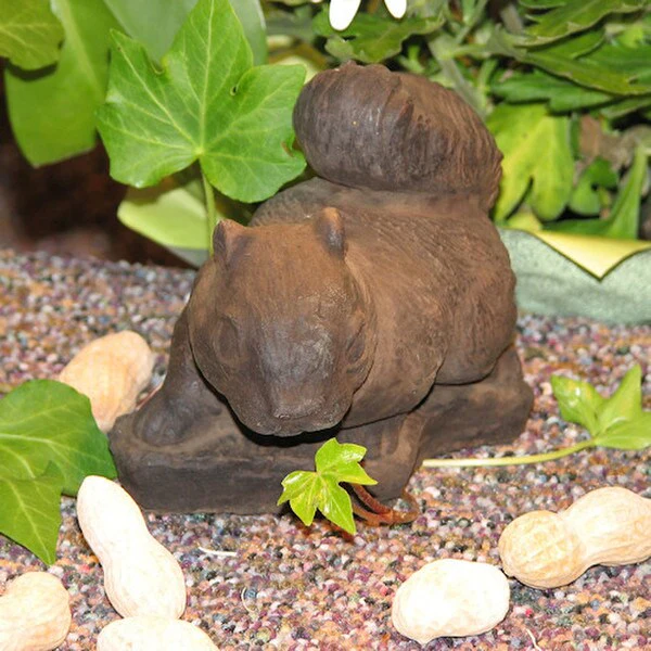 Small Squirrel - Image 2