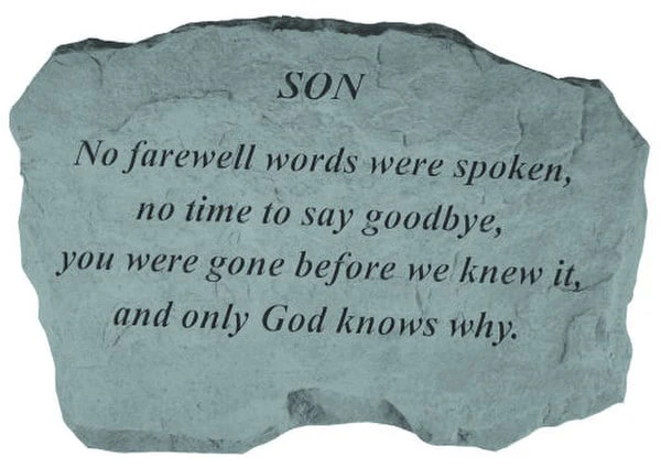 Son - No Farewell Words Were.....