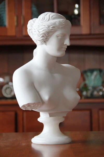 Venus De Milo Bust 13" High - Image 3