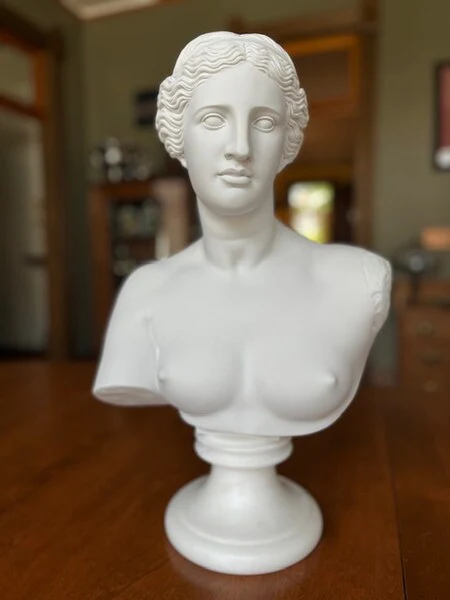 Venus De Milo Bust 20 3/4" High - Image 5