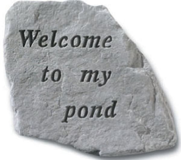 Welcome To My Pond