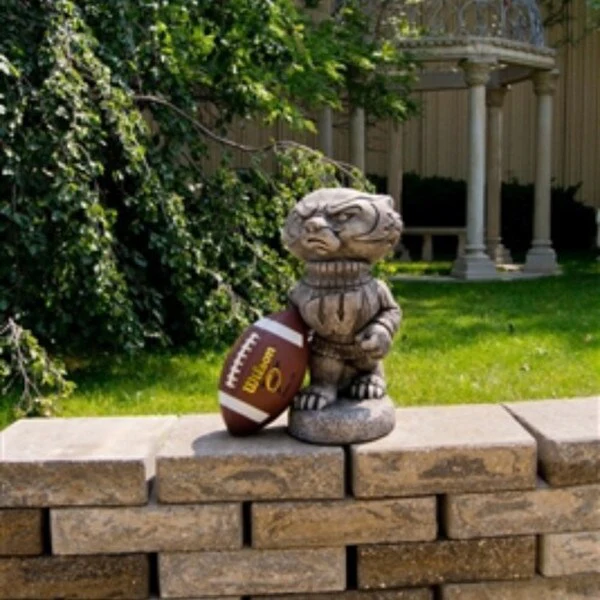 Wisconsin "Bucky Badger" College Mascot - Image 3
