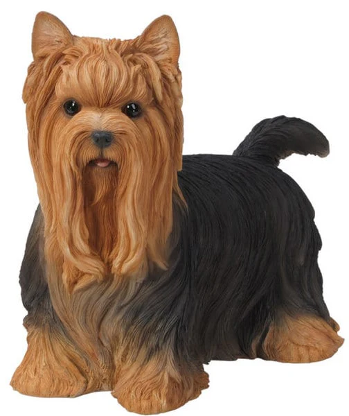 Yorkie Dog Large Statue Realistic