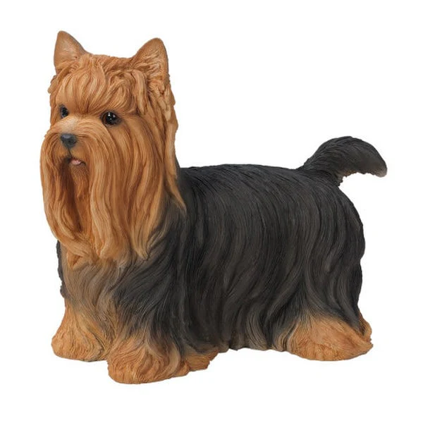 Yorkie Dog Large Statue Realistic - Image 2